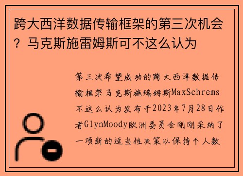跨大西洋数据传输框架的第三次机会？马克斯施雷姆斯可不这么认为